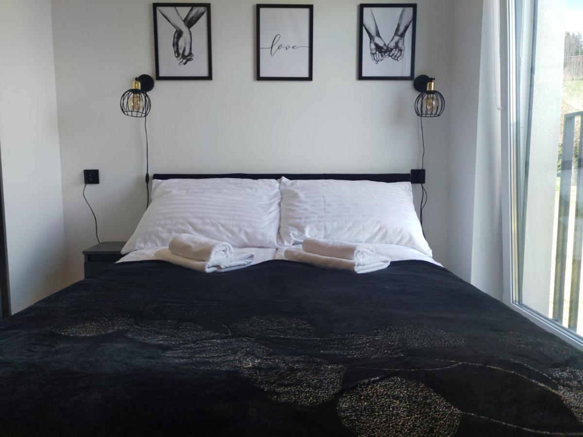 Apartament Zuza W Wisle Wisła Kültér fotó